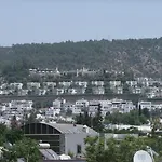 Goekmavi
